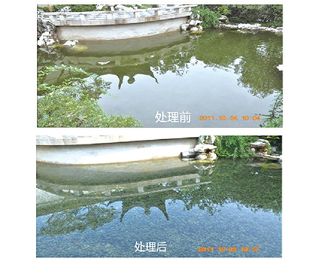 浙江杭州绿城小区景观水处理