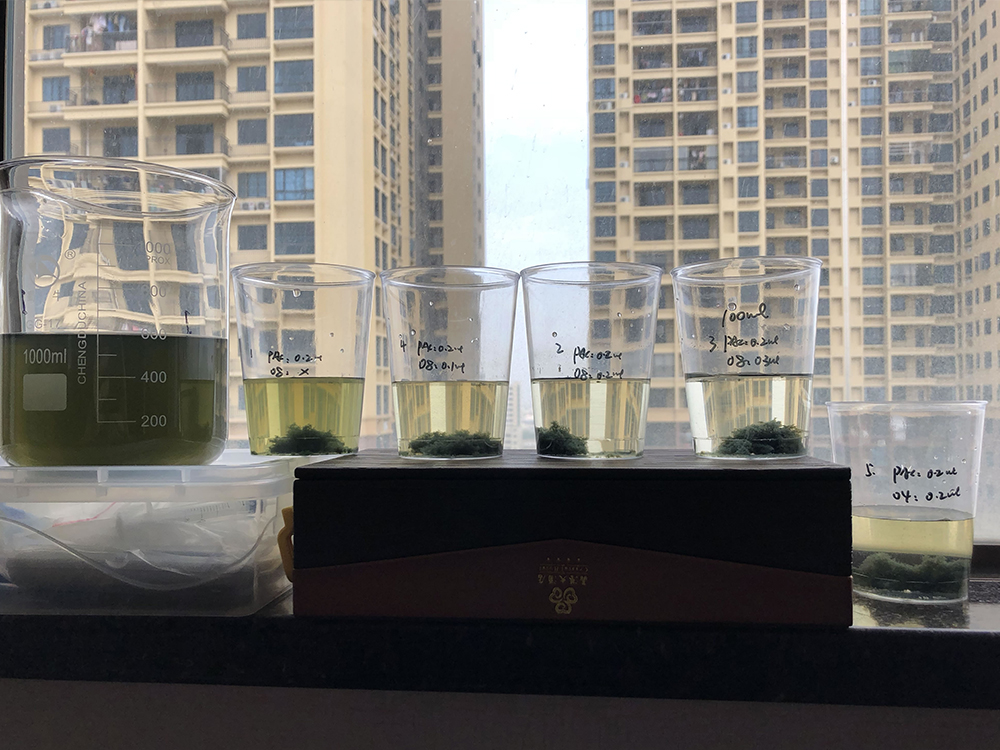 废水实验