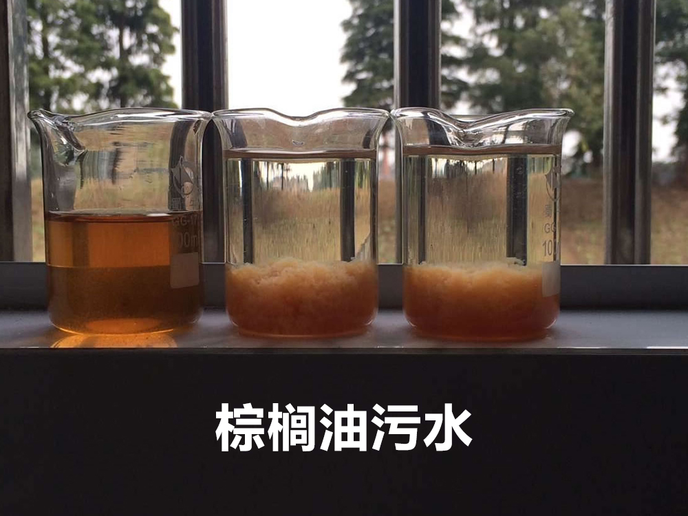 棕榈油污水实验