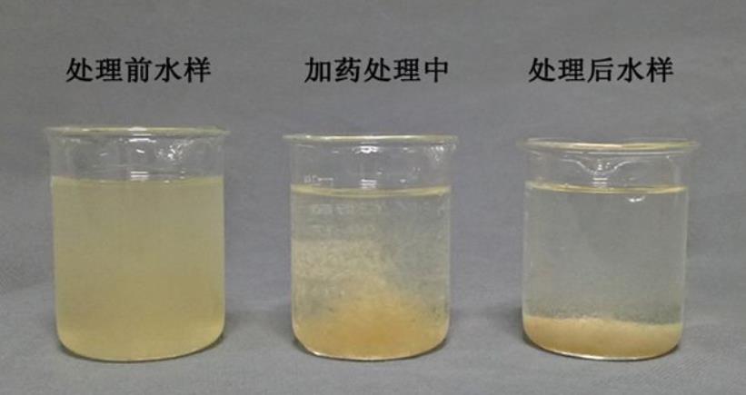 微生物絮凝剂试样絮凝效果图