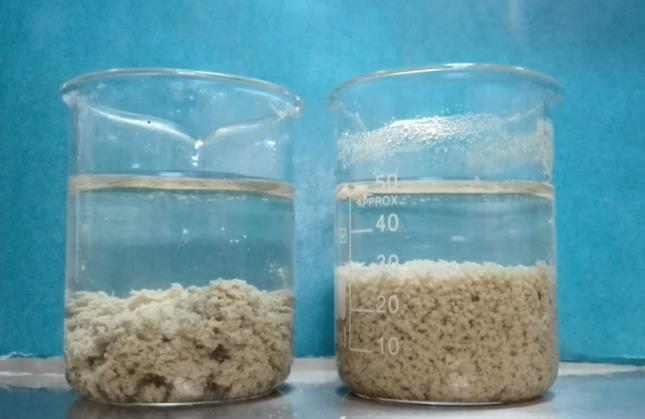 微生物絮凝剂图