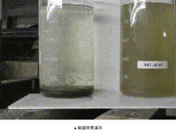 絮凝效果演示图