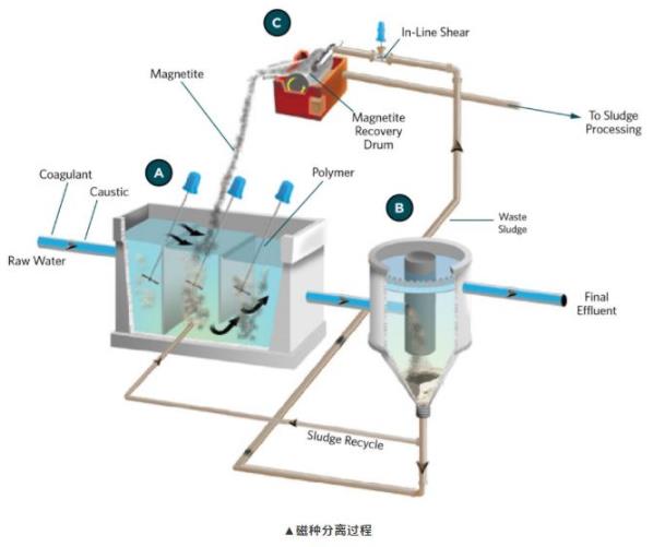 磁絮凝-磁种分离过程原理图
